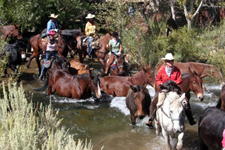 USA-California-Owens Valley Horse Drive